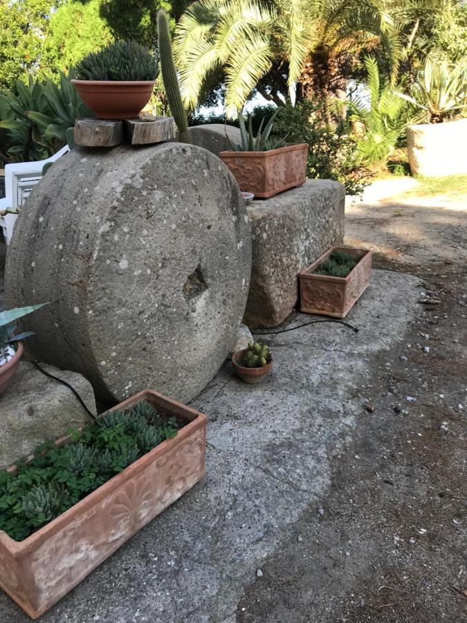 A Casa Di Peppino Villa Greco تينداري المظهر الخارجي الصورة