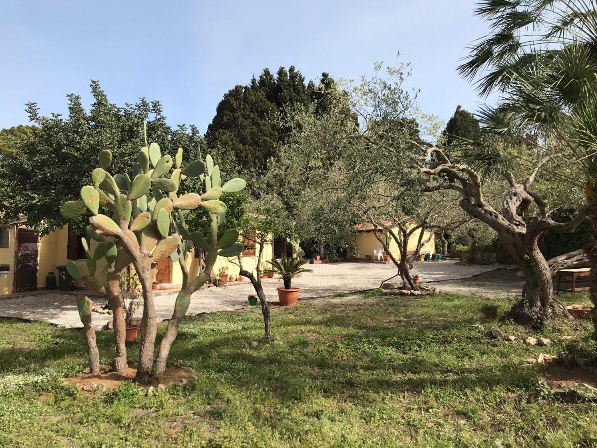 A Casa Di Peppino Villa Greco تينداري المظهر الخارجي الصورة