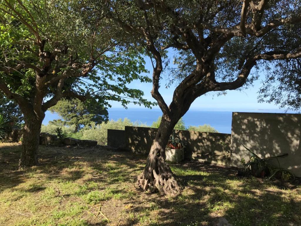 A Casa Di Peppino Villa Greco تينداري المظهر الخارجي الصورة