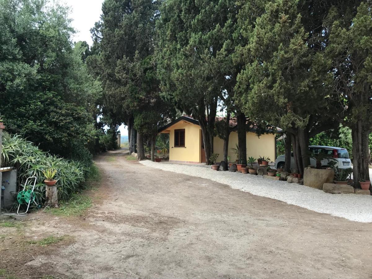 A Casa Di Peppino Villa Greco تينداري المظهر الخارجي الصورة