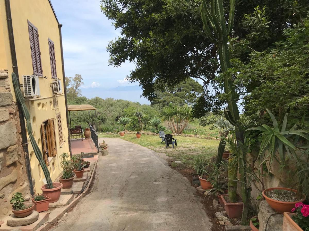 A Casa Di Peppino Villa Greco تينداري المظهر الخارجي الصورة