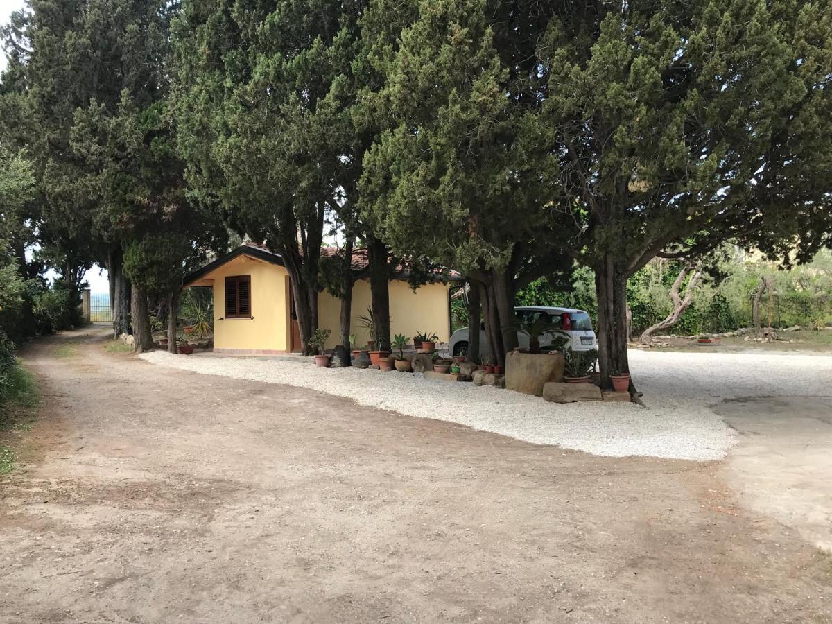 A Casa Di Peppino Villa Greco تينداري المظهر الخارجي الصورة